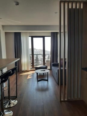 Hotel Ariš Kopaonik apartman A21